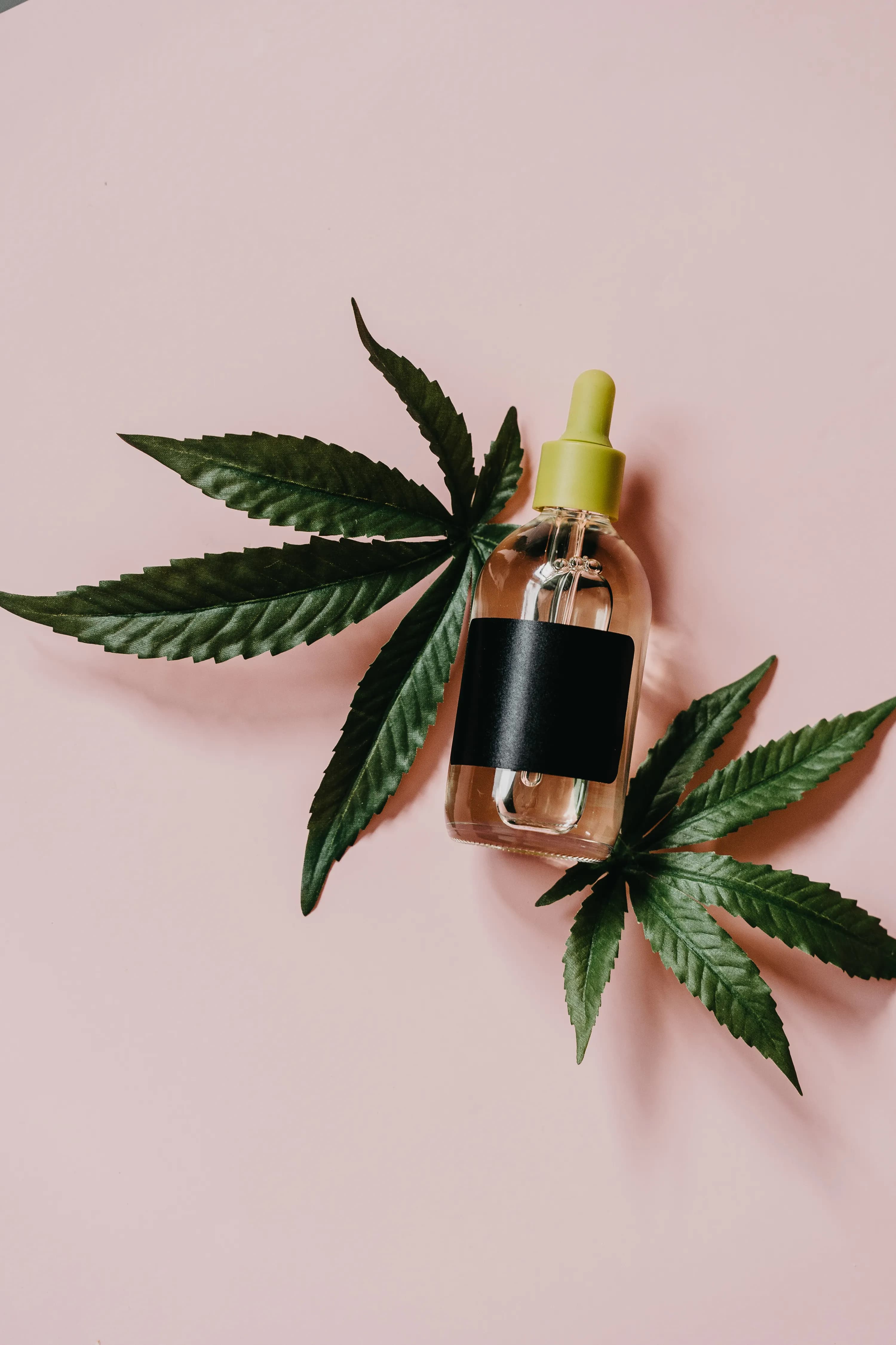 Nourishing Oils